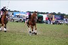 UKPA  NC Sat_1390